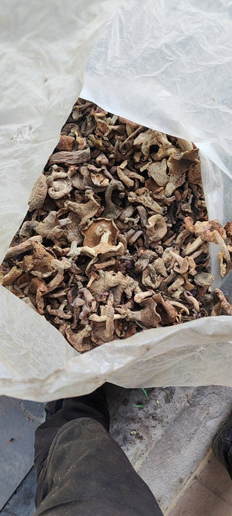 巴中食用菌多种杂菌组合，无硫无杂，产地直发欢迎联系