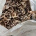 巴中食用菌多种杂菌组合，无硫无杂，产地直发欢迎联系