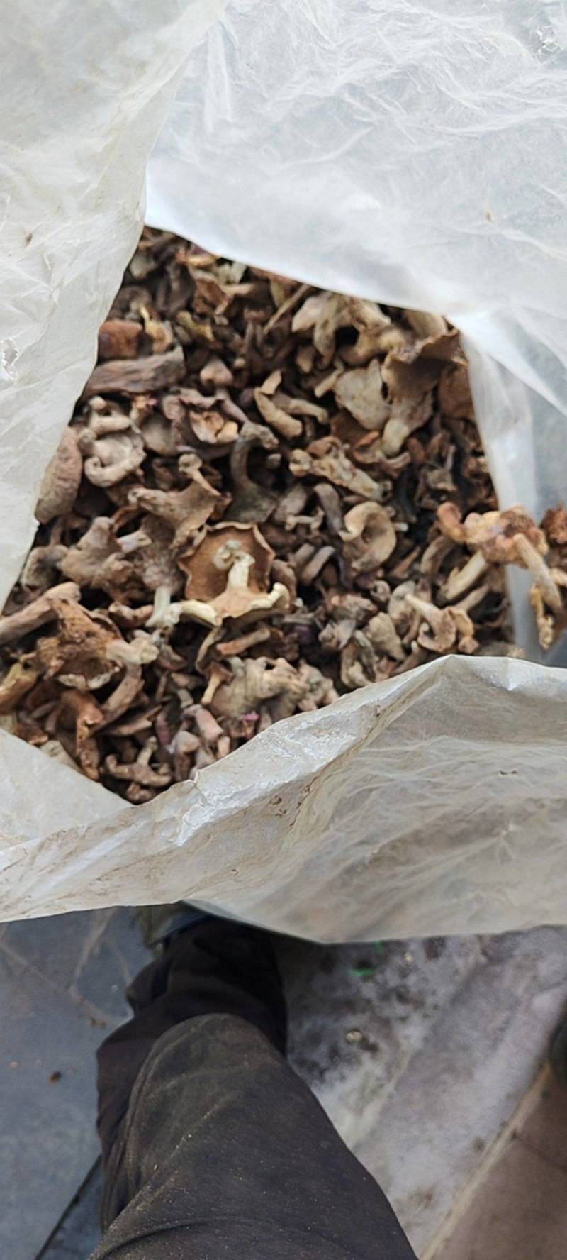 巴中食用菌多种杂菌组合，无硫无杂，产地直发欢迎联系