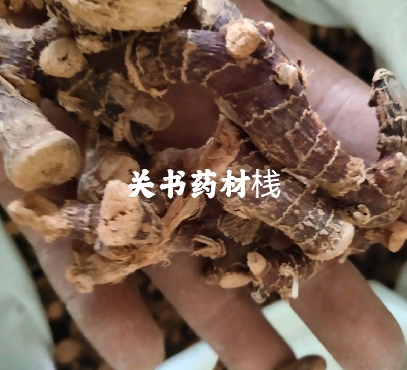 良姜，选，新货颜色红关书药业批发中药材