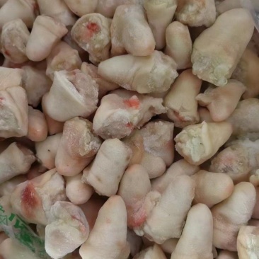 豆豆尾