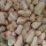 豆豆尾