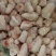 豆豆尾