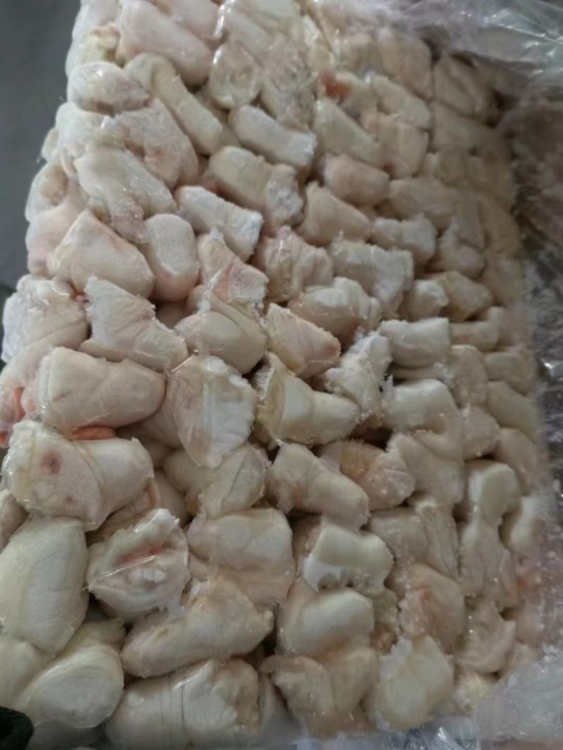 豆豆尾