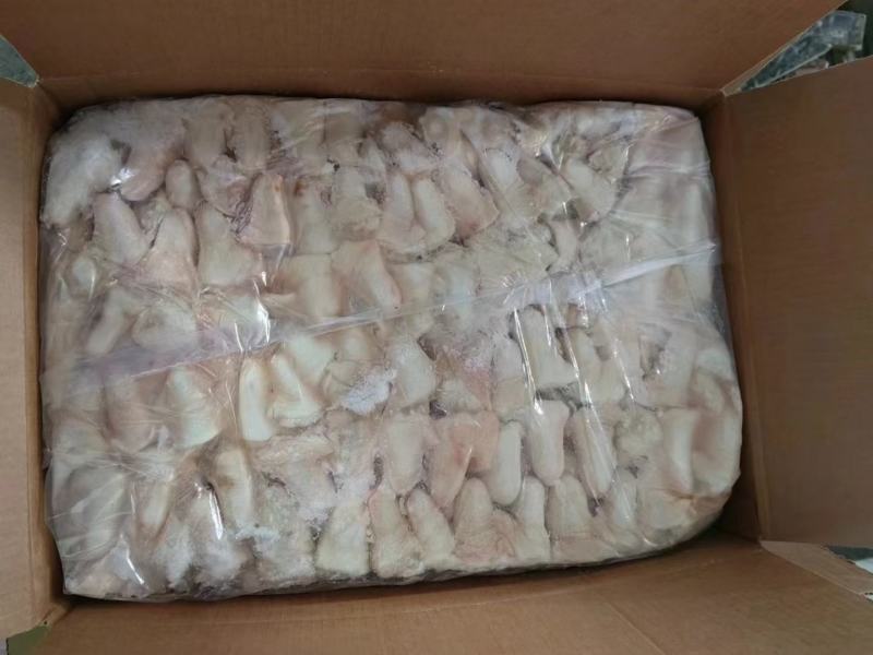 豆豆尾