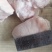 豆豆尾