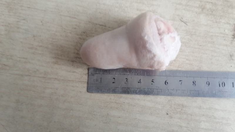 豆豆尾