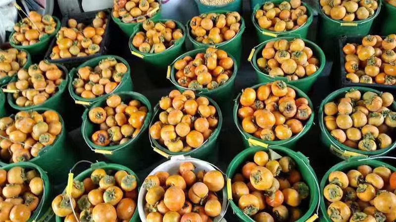 成熟的柿子摆放在餐盘中,旁边有绿色蔬菜和坚果,展示健康饮食搭配 柿子与健康饮食