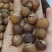洗手果，无患子，各种种药材加工，代抓配方量大从优量大可议