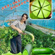 潍坊水果萝卜青萝卜口感清脆产地货源量大质优