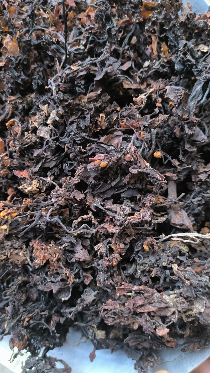 海藻中药材批发海藻质量保证量大从优