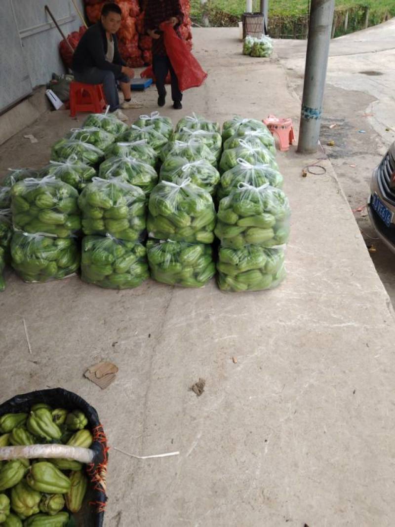 新鲜佛手瓜，甜脆多汁，健康美味，**特惠！