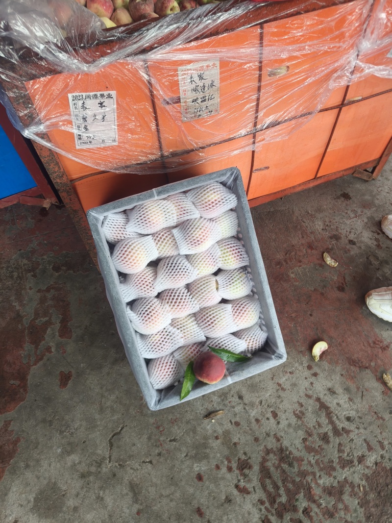 金秋红蜜，映霜红小果3两左右，量大。需要的老板联系我