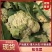 安徽砀山精品花菜，货源充足保质保量，供应商超各大市场