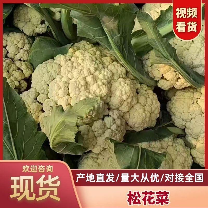 安徽砀山精品花菜，货源充足保质保量，供应商超各大市场