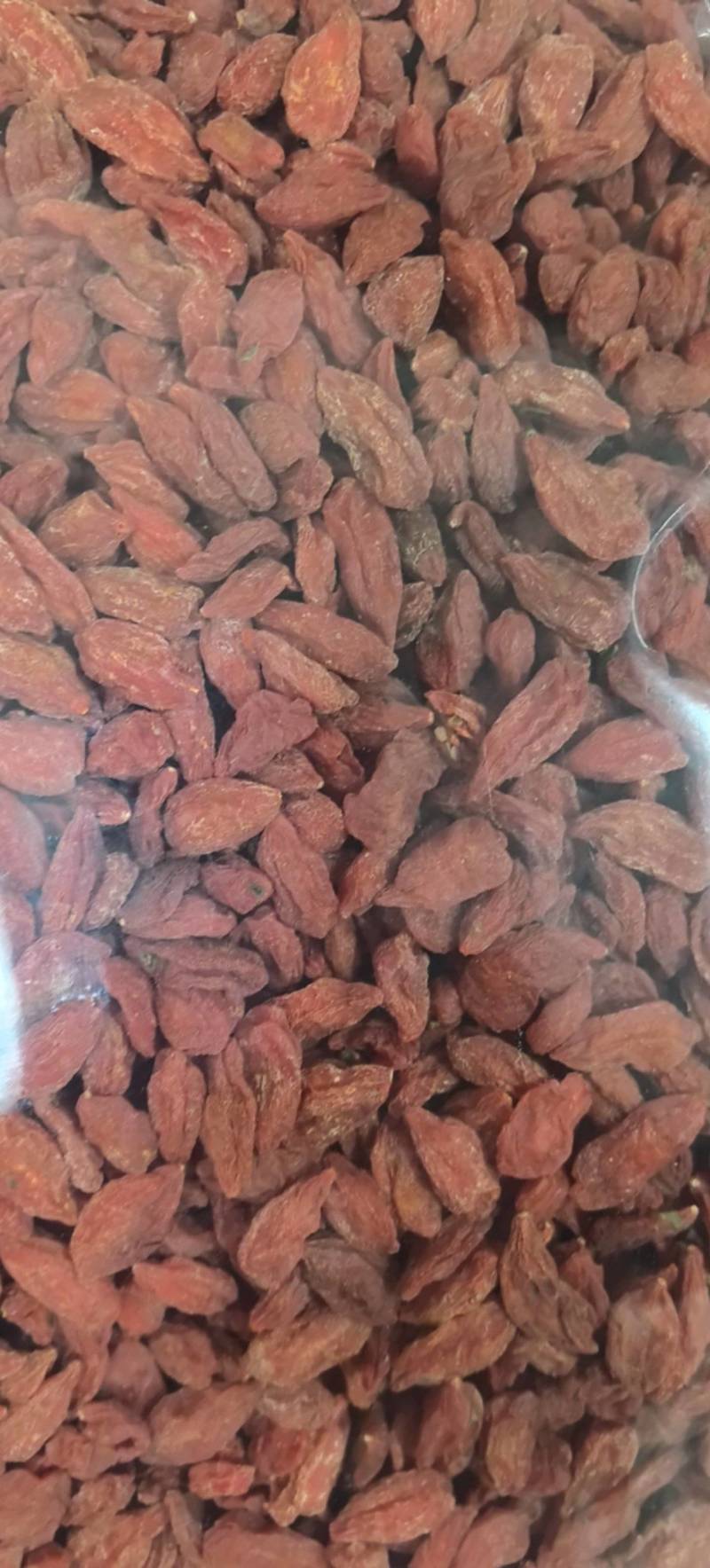 枸杞子规格齐全今年新货万信药业只做保真药材