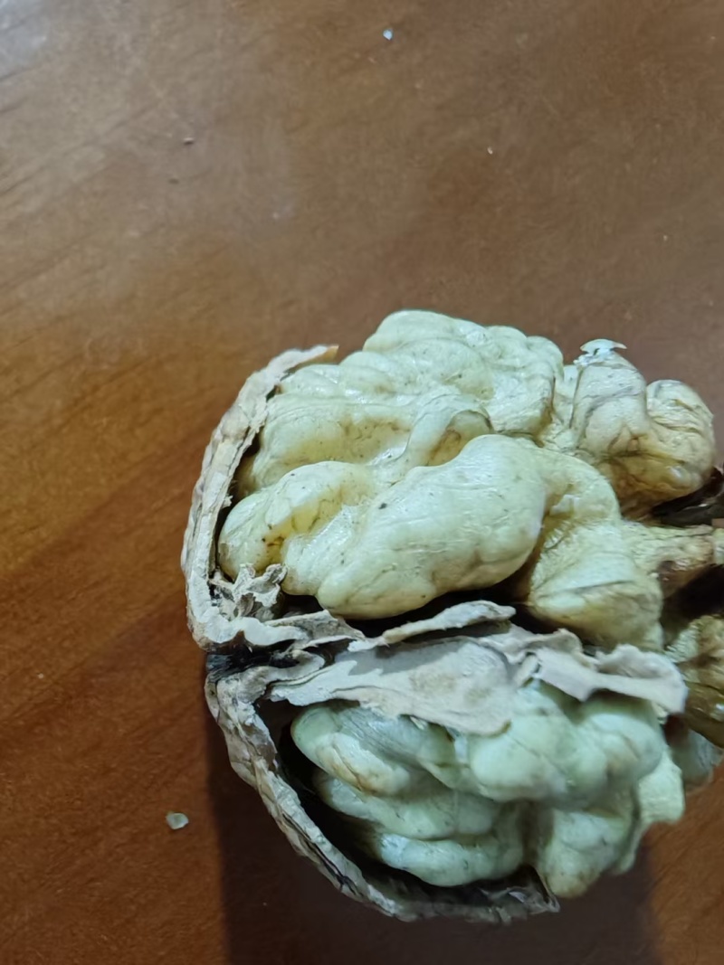 新疆纸皮核桃，皮薄肉厚货源充足价格美丽。