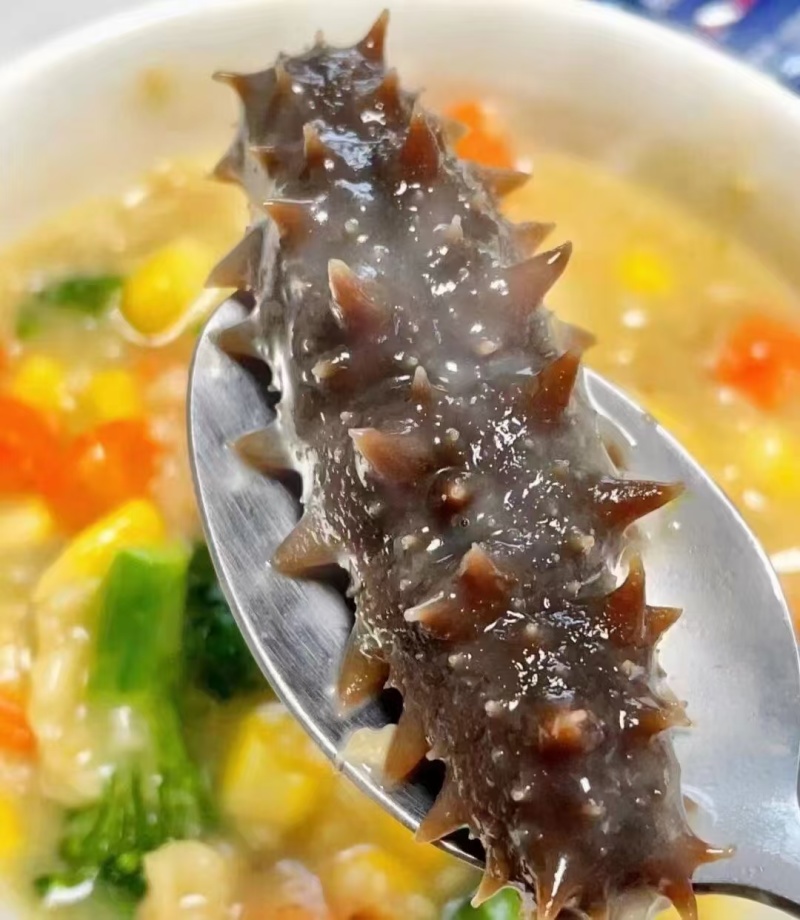 海参鲜食海参自家养殖基地有需要的朋友联系我