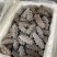 海参鲜食海参自家养殖基地有需要的朋友联系我