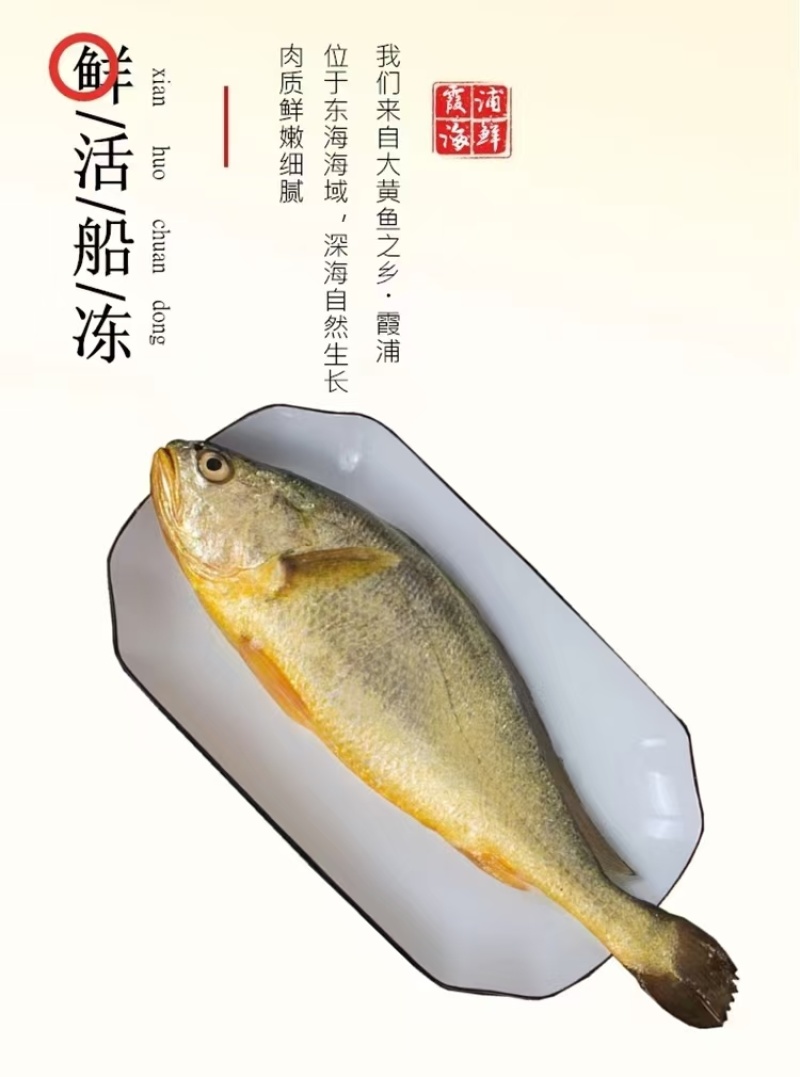 黄鱼