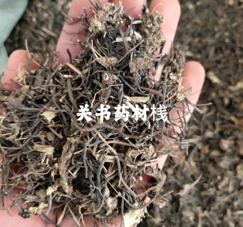 威灵仙东北特产统货过筛无杂质关书药业