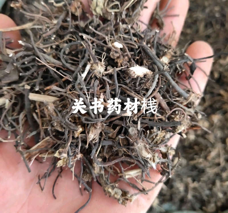威灵仙东北特产统货过筛无杂质关书药业