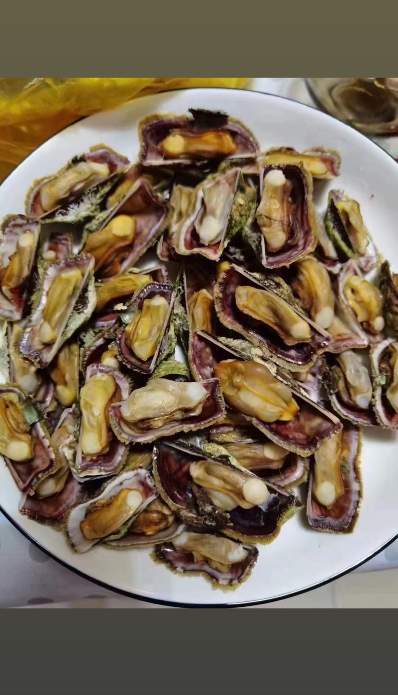 姐妹螺来自北部湾海域肉多钱少