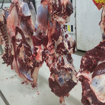 鲜牛肉