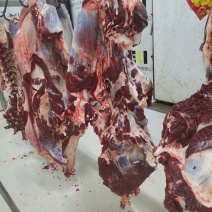 鲜牛肉批发黄牛肉纯干不打水每天现杀现卖支持全国发货