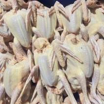 新鲜乳鸽，健康美味，直供农场，快速配送