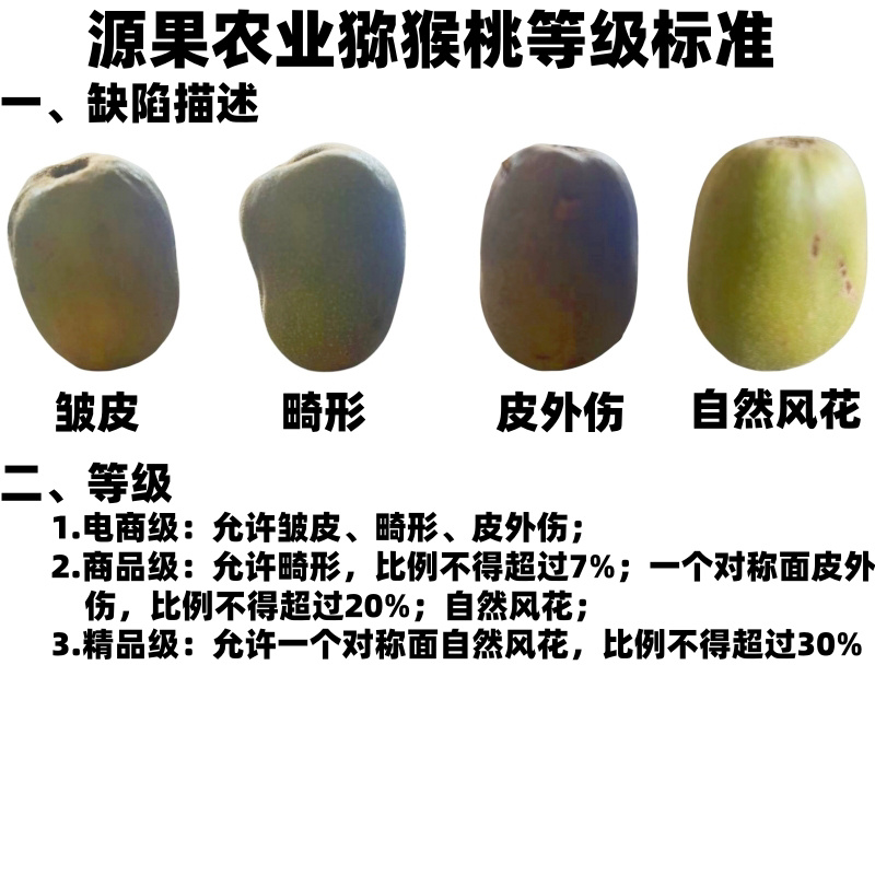 2.5斤红阳红心猕猴桃电商果产地直发售后无忧