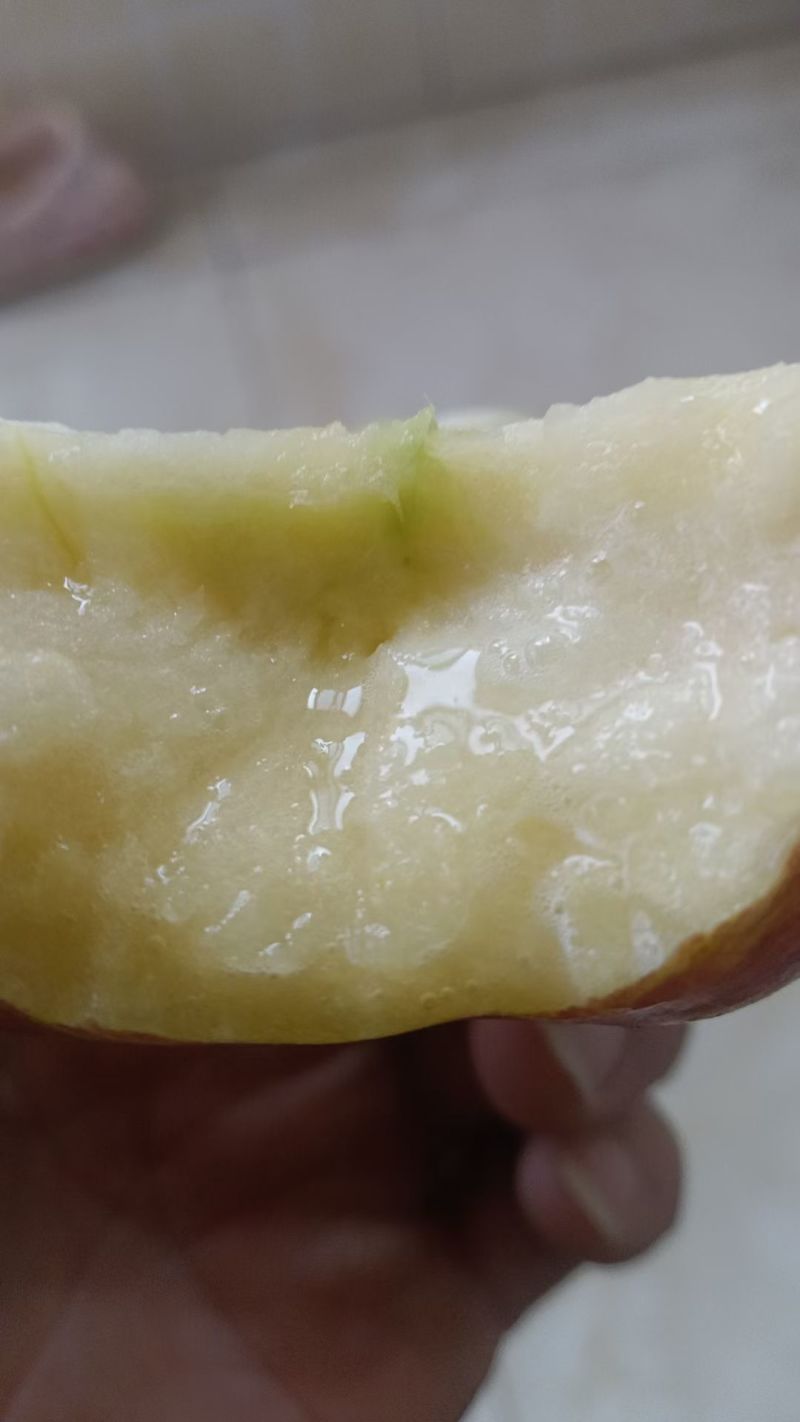 糖心红富士苹果大量批发团购，果肉是大黄肉，脆甜多汁的，