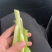 精品白菜苔，甜菜苔，水白菜苔，大量上市品质保证
