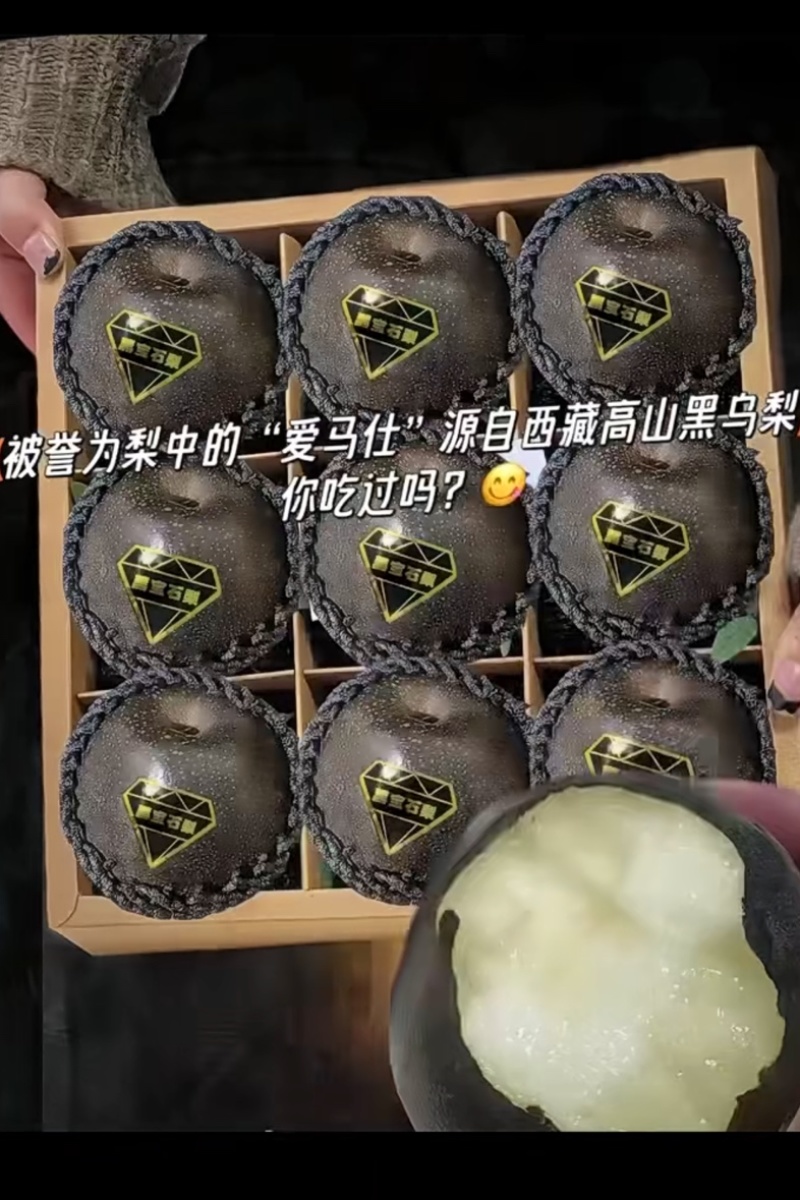 高原藏乌梨，高山梨，黑梨，一手货源/产地直发/保质保量