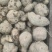 红薯多品种红薯沙土地新鲜红薯西瓜红蜜薯番薯板栗薯现挖农家