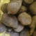 红薯多品种红薯沙土地新鲜红薯西瓜红蜜薯番薯板栗薯现挖农家