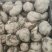 红薯多品种红薯沙土地新鲜红薯西瓜红蜜薯番薯板栗薯现挖农家