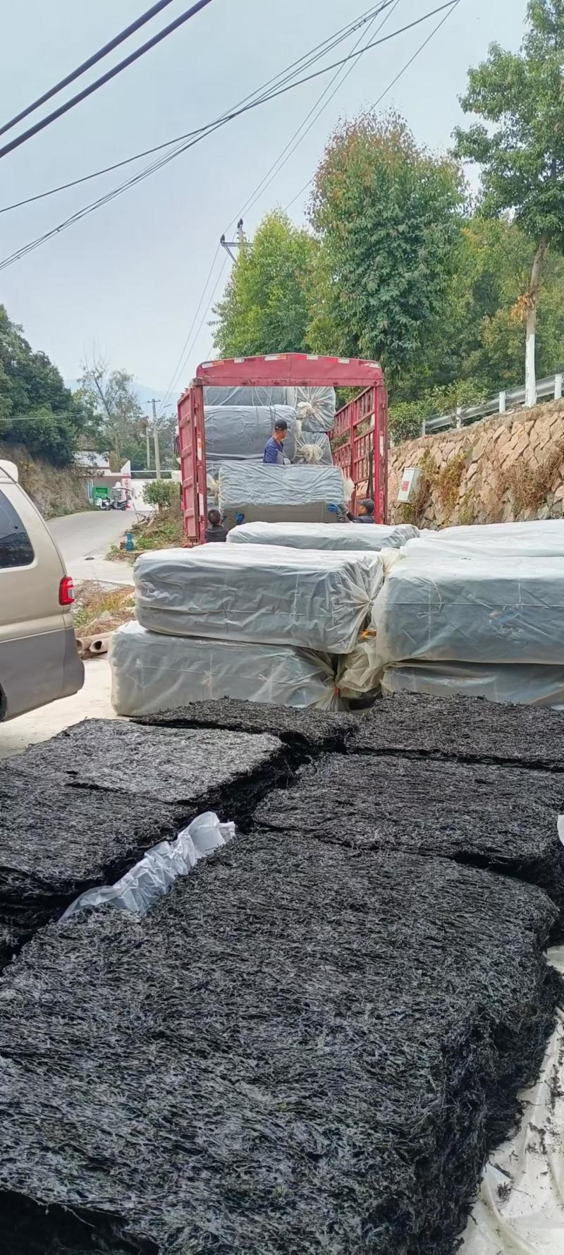 霞浦紫菜自然黑亮入口鲜甜适合市场流通欢迎咨询