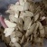 黄芪甘肃黄芪各种规格指甲片斜片泡茶黄芪