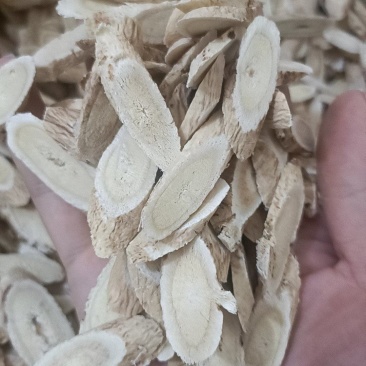 黄芪甘肃黄芪各种规格指甲片斜片泡茶黄芪