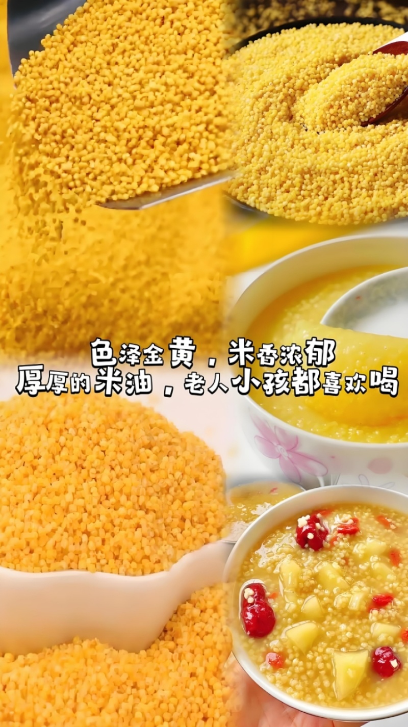 沂蒙山黄小米精品小米香软绵长产地货源可视频看货