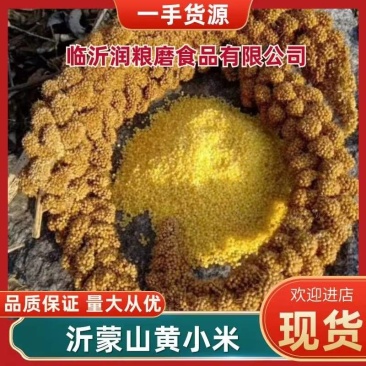 沂蒙润粮磨小米黄小米一件可发香软绵长产地货源