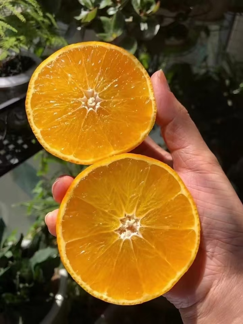 橙子爱媛果冻橙四川爱媛橙皮薄多汁产地货源量大质优