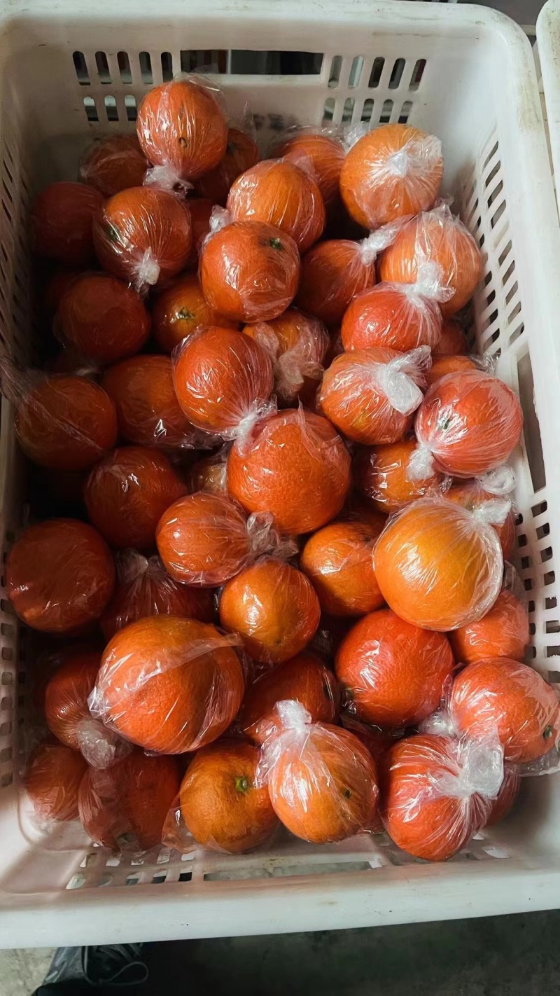 纽荷尔脐橙湖南橙子产地直供品质好价格优量大优惠