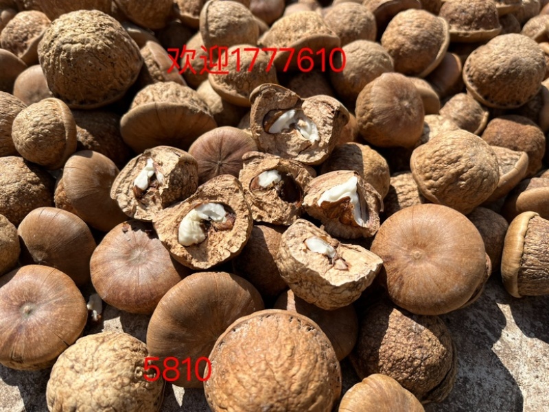风流果马钴叠24年新产新鲜无硫无虫眼，好果率95%