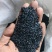 农家黑芝麻***不抛光不打蜡