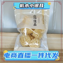 古田银耳椴木银耳无硫椴木小银耳资质齐全直播代加工