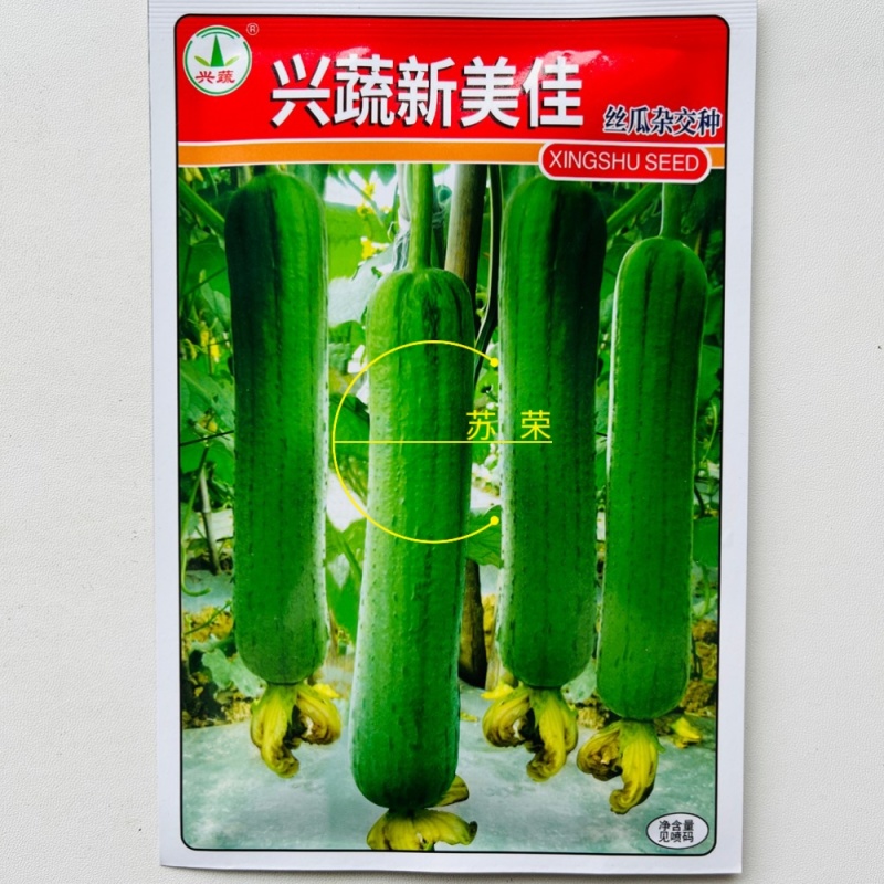 兴蔬新美佳丝瓜种子果皮绿色靓丽油丝瓜种籽早熟丰产春夏秋播