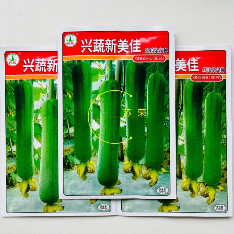 兴蔬新美佳丝瓜种子果皮绿色靓丽油丝瓜种籽早熟丰产春夏秋播