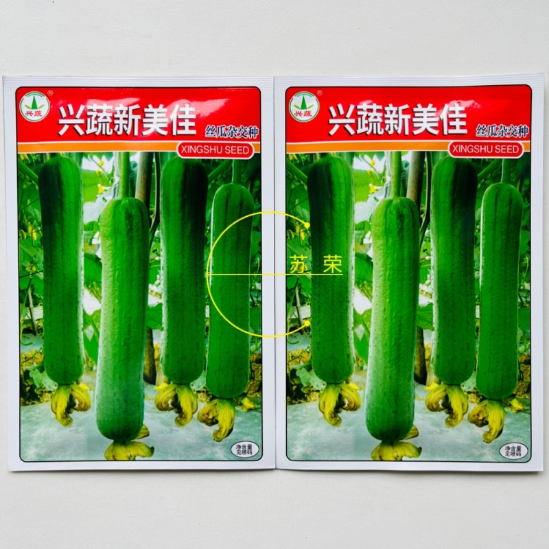 兴蔬新美佳丝瓜种子果皮绿色靓丽油丝瓜种籽早熟丰产春夏秋播